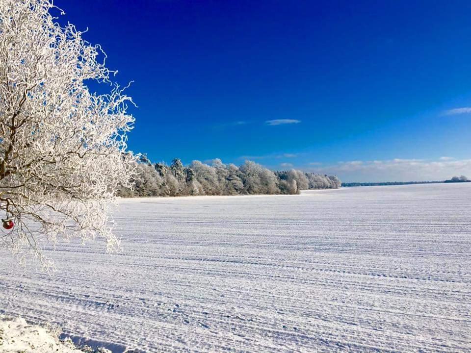 Ferienhaus Seensucht Göhren-Lebbin Esterno foto